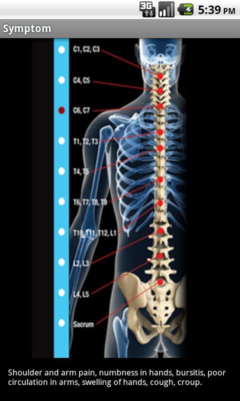 Lindeman Chiropractic截图2