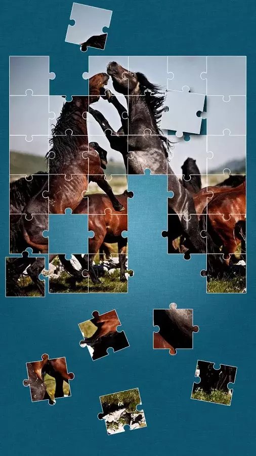 Horses Jigsaw Puzzle Gam...截图4