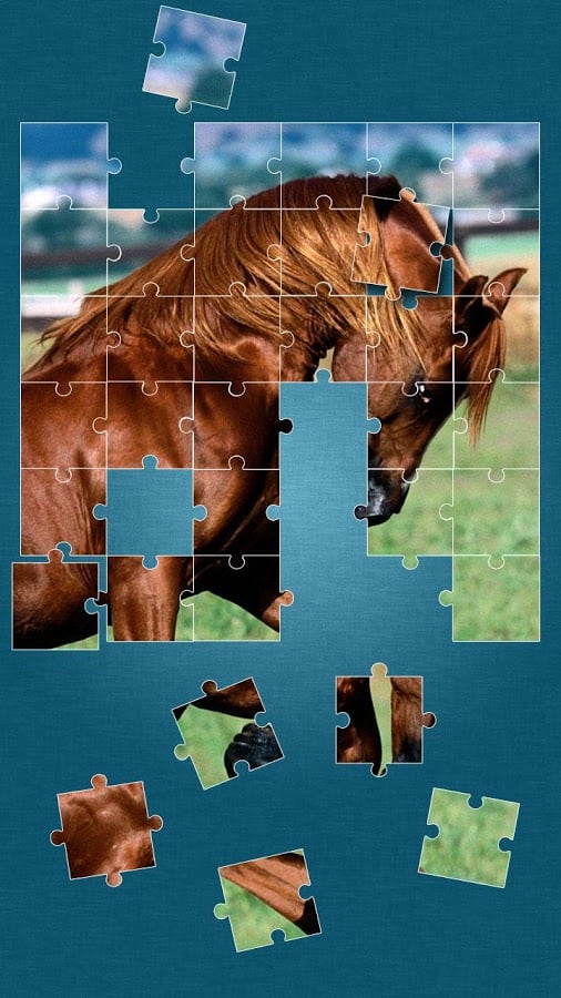 Horses Jigsaw Puzzle Gam...截图2