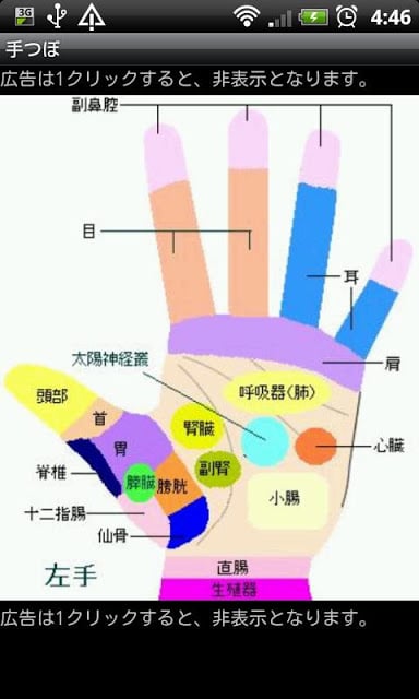 手つぼ（反射図）截图2