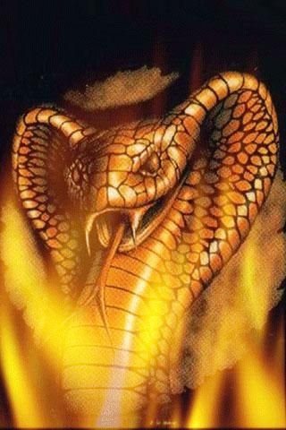 Flame Snake Live Wallpaper截图1