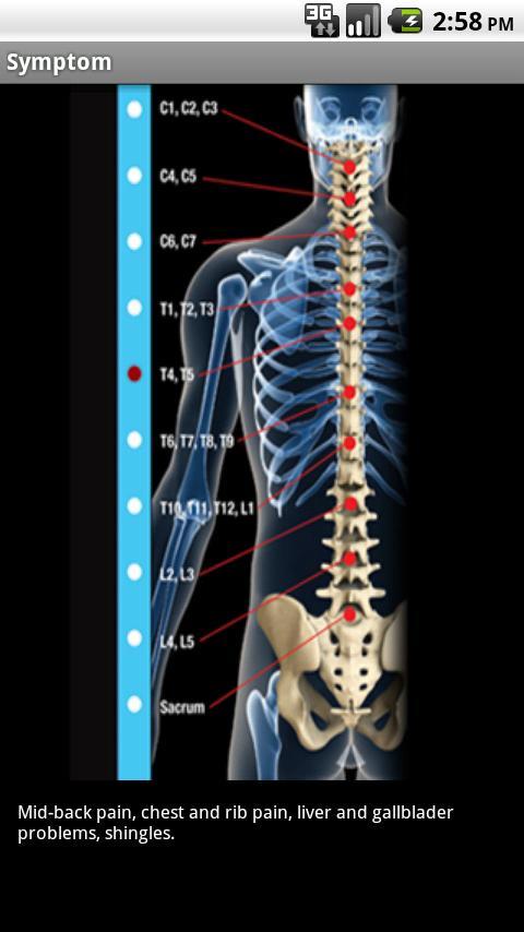 Recreation Chiropractic截图3