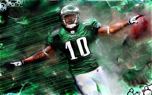 DeSean Jackson截图3