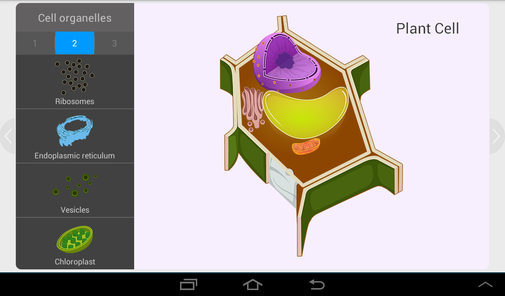 MarkSharks - Class 8 (Science)截图5