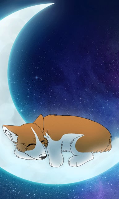 Sleeping corgi Live wallpaper截图2