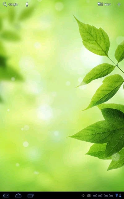 Leaves - Bokeh Live Wallpaper截图5