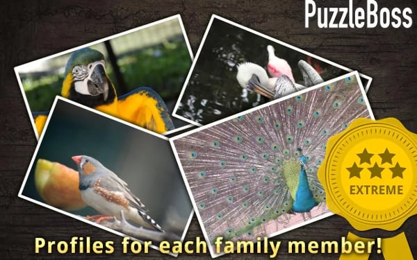 Bold Birds Jigsaw Puzzle...截图1