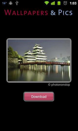 Wallpapers & pics lite截图5