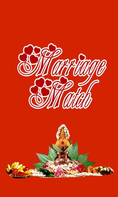 Hindu Marriage Match截图2