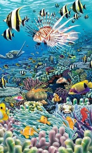 Under the Sea Live Wallpaper截图8