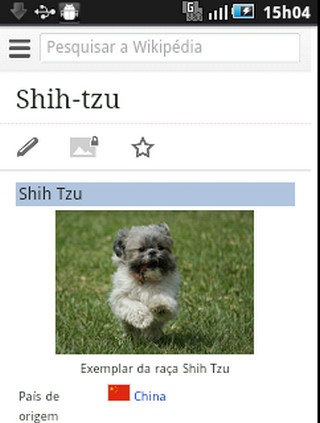 Cachorros shih tzu截图5