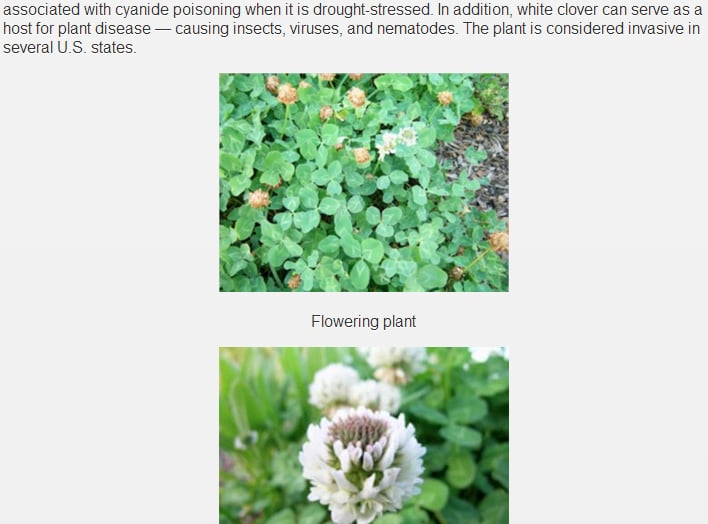 Common Weeds of Yard &amp; Garden截图5