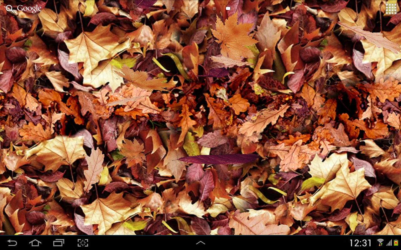 Autumn leaves 3D LWP截图2