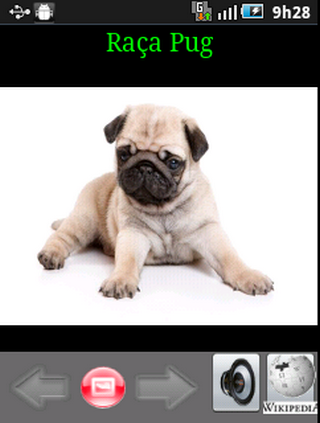 Cachorros Pug截图2