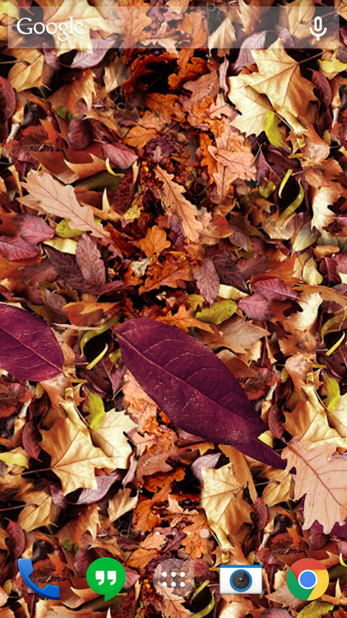 Autumn leaves 3D LWP截图8