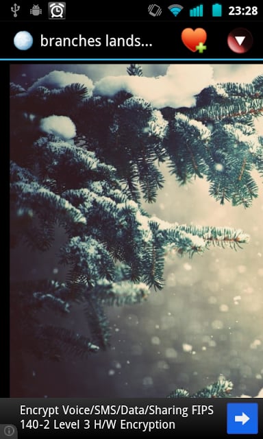 Winter wallpapers截图5