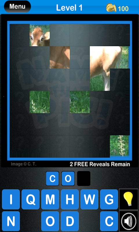 Name that Pic!截图1