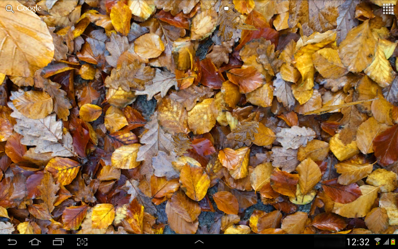 Autumn leaves 3D LWP截图4