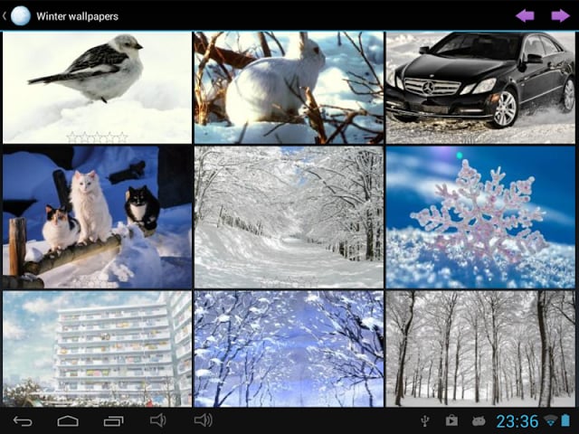 Winter wallpapers截图2