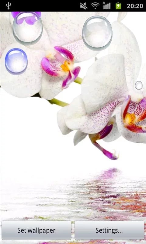 Orchid Bubbles Pro截图1