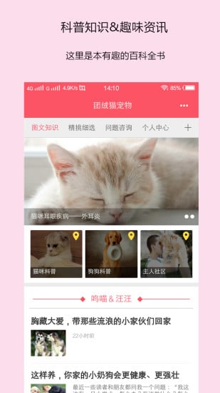 团绒猫宠物截图2