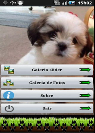 Cachorros shih tzu截图1