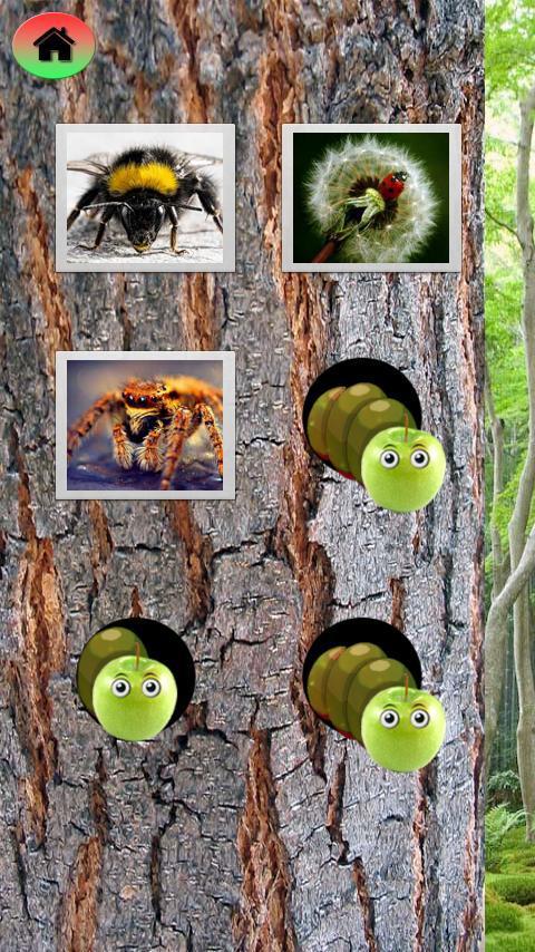 Insects Kids Puzzle截图2