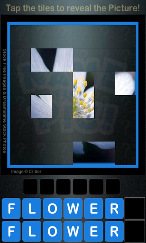 Name that Pic!截图2