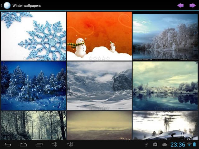 Winter wallpapers截图8