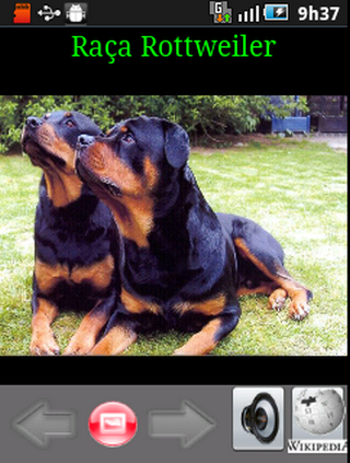 Cachorros Rottweiler截图2