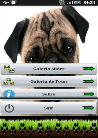 Cachorros Pug截图1