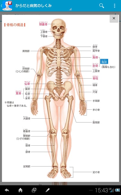 からだと病気のしくみ図鑑forポケットメディカ截图3