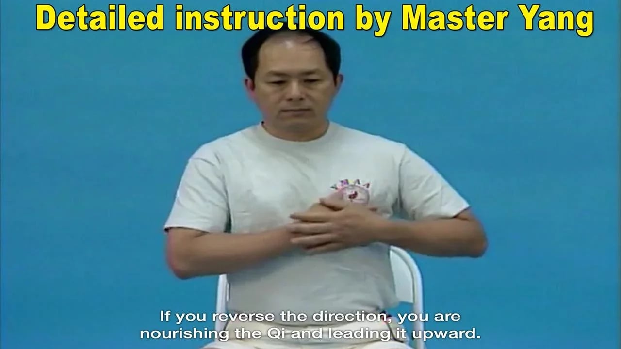 Qigong Massage: Self Mas...截图1