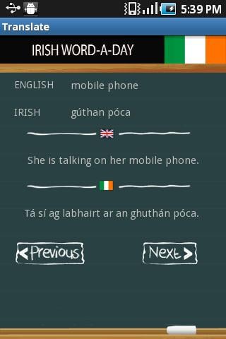 Learn Irish截图2