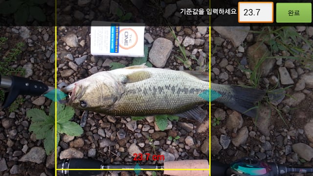 Fishing Ruler - 물고기 길이 재기截图2