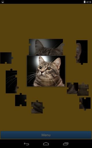 Cat and Kitten Jigsaw Puzzle截图6