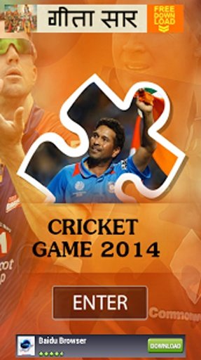 Cricket Game 2014截图10