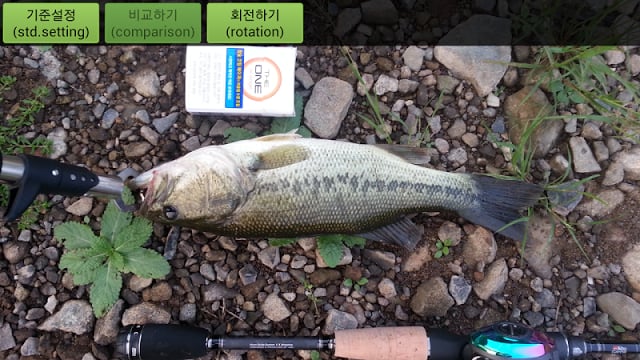 Fishing Ruler - 물고기 길이 재기截图5