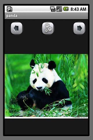 panda截图2