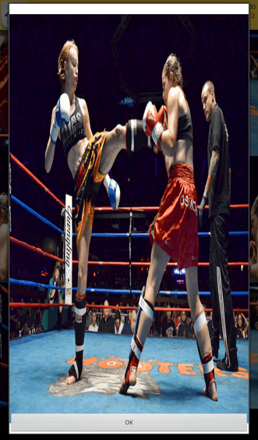 Kickboxing Games截图7