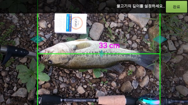 Fishing Ruler - 물고기 길이 재기截图1