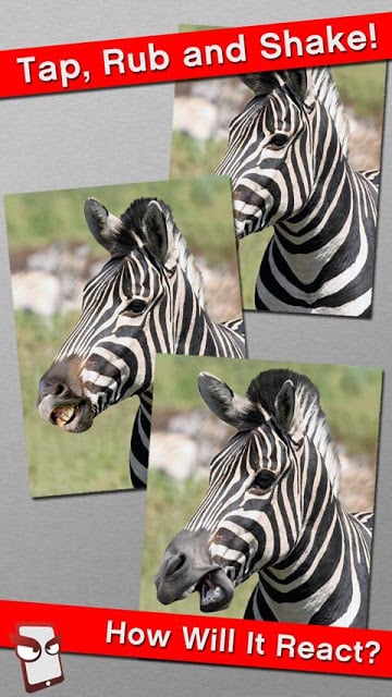 Angry Zebra Free!截图1