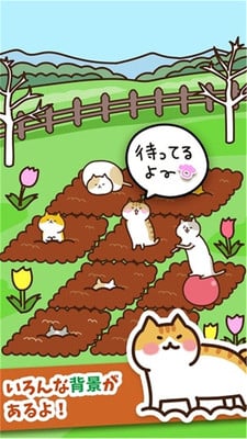 ねこ畑截图4