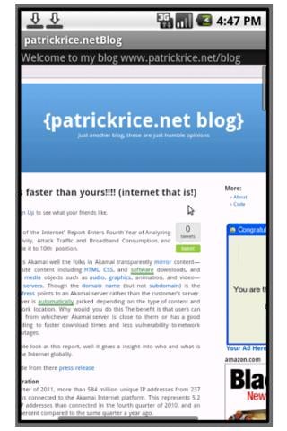 PatrickRice.net/Blog截图2