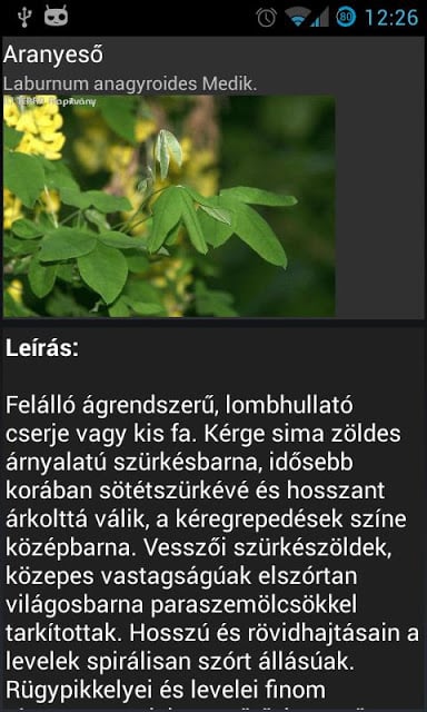 Terra Fa-lexikon &eacute;s hat&aacute;roz&oac截图1