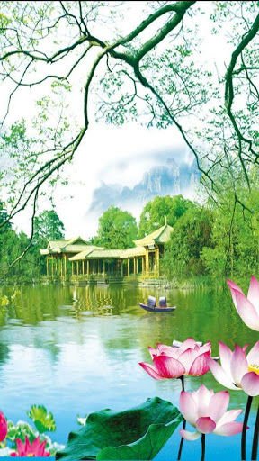 Lotus Pond 3D Live Wallpaper截图4