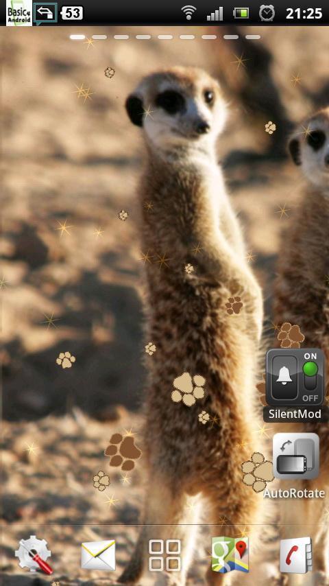 Meerkat Live Wallpaper截图1