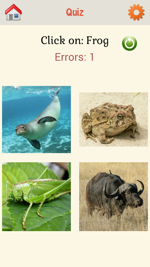 Kids Quiz - Animals截图5