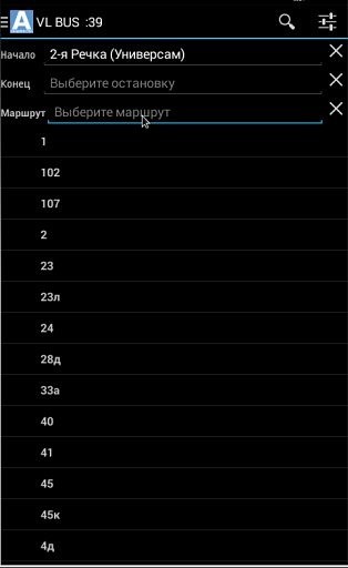 VL BUS - Автобусы Владивостока截图2