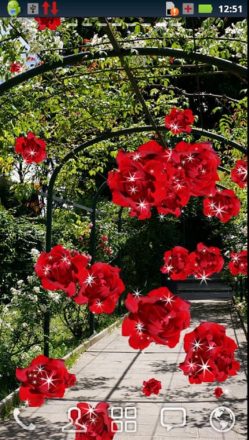 Roses of Rome Live Wallpaper截图4